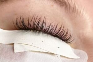 Beaut&eacute;Schr&ouml;der