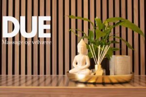Clinic Due &ndash; Due Massage og Velv&aelig;re