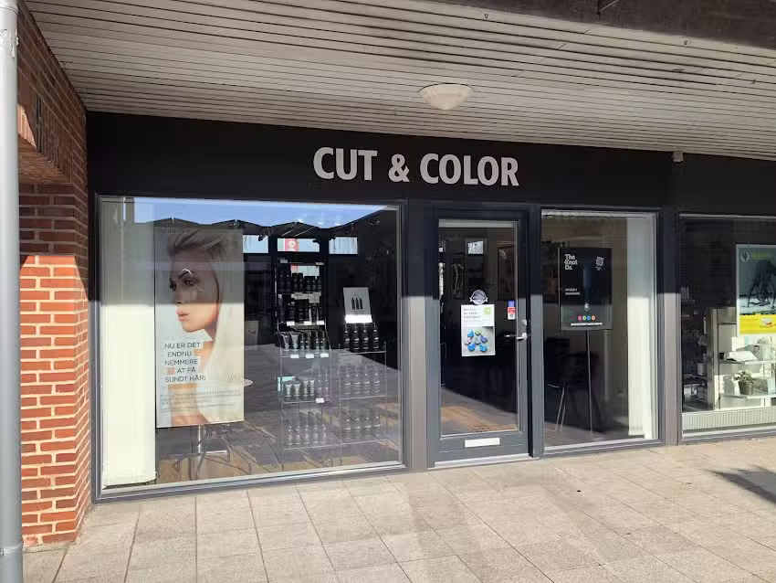 Cut & Color v/Tina Taus&oslash; Schultz