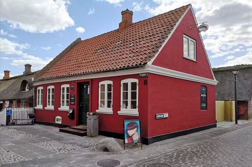 Fris&oslash;r Art of Hair