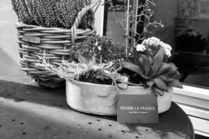 Fris&oslash;r La France