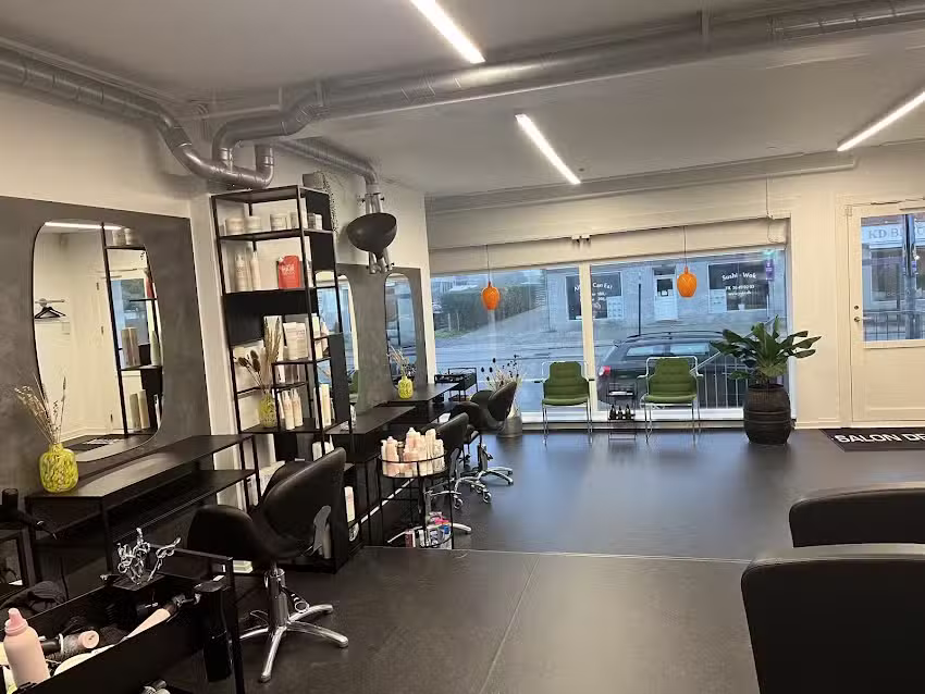 Fris&oslash;r Park By Salon Delux