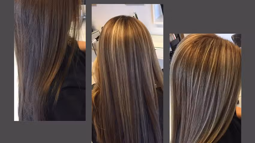 Fris&oslash;r &ndash; Under Saksen &ndash; Aars