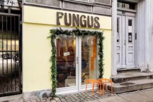 Fungus