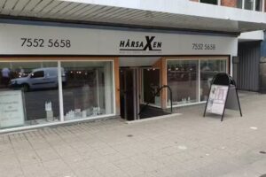 H&aring;rsaxen V/jane Jung Andersen