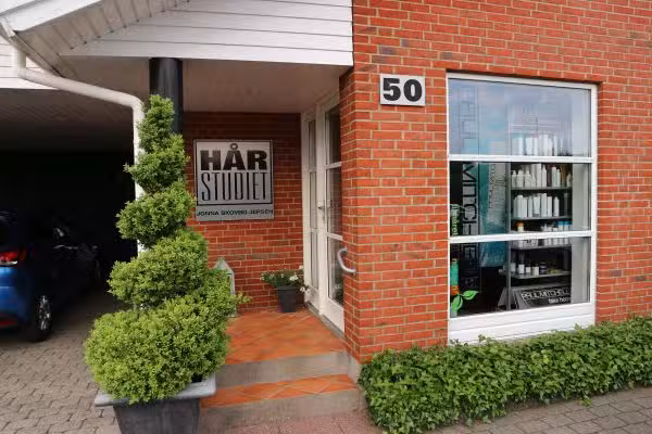 H&aring;rstudiet &ndash; Vejen