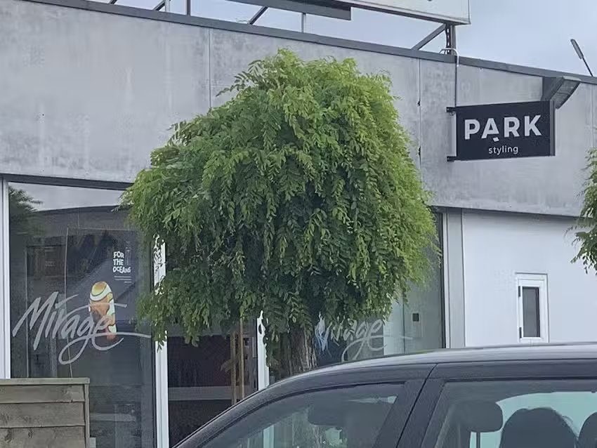 PARK By Fris&oslash;r Mirage H&oslash;rning