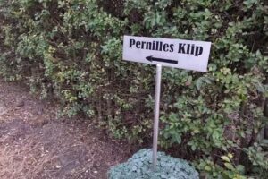 Pernilles Klip