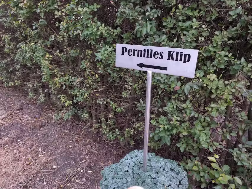 Pernilles Klip