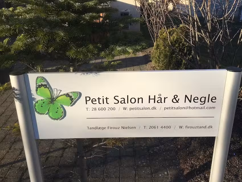 Petit Salon