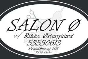 Salon &Oslash;