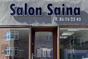 Salon Saina V / Leila Roshani