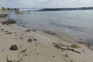 Salon Sundh&oslash;j V/conni Jeppesen