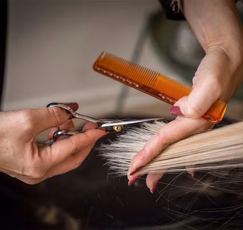 Twilight Zone (Melanie Maass)